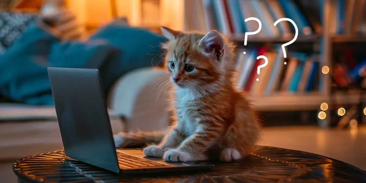 kitten sitting on round table using a laptop in a cozy room