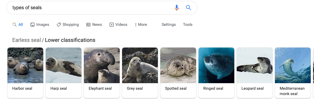 image showing the image pack search results in Google