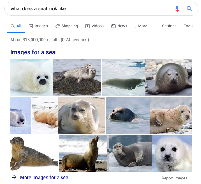 image showing the image search results in Google