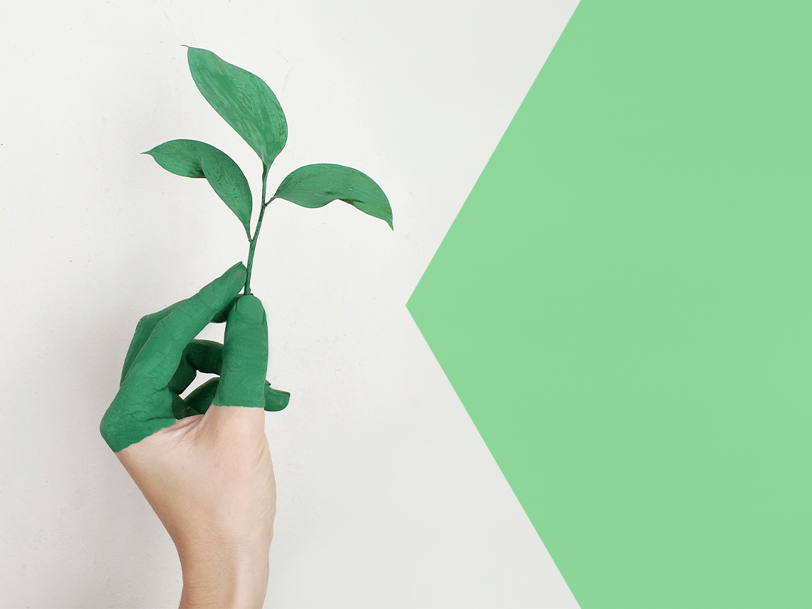 hand holding a plant